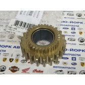 SPROCKET,BW-21T REV-(13 WIDE/33 SPLINE)